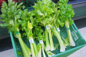 Celery Benefits: Properties, Nutrition, Uses, and Healthy Recipes